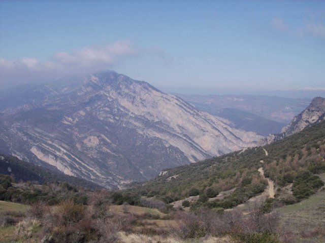 img_0044.jpg