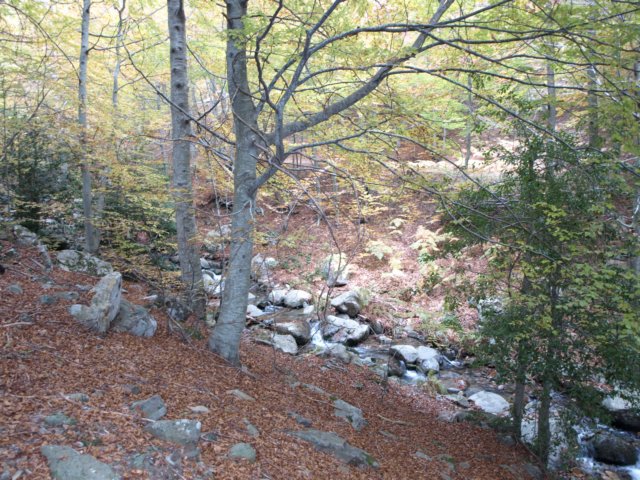 pa243685.jpg