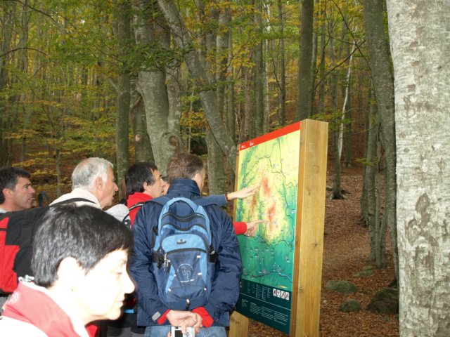 pa243687.jpg