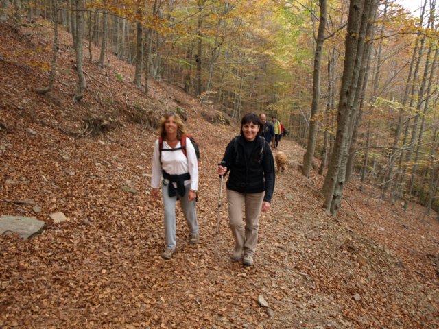 pa243688.jpg