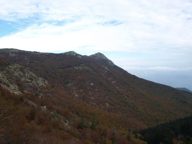 pa243701.jpg