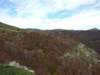 pa243703_small.jpg