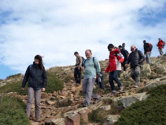 pa243733.jpg
