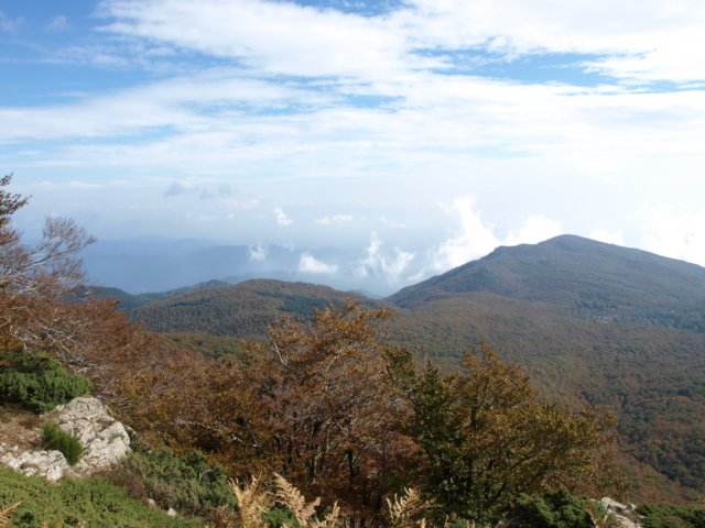pa243738.jpg