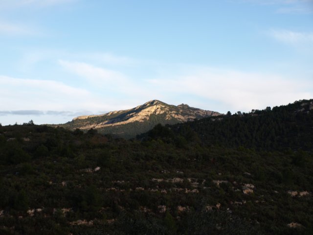 pb213861.jpg