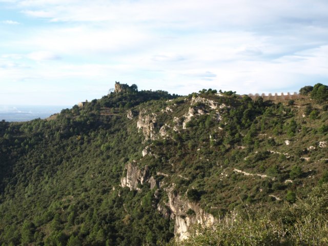 pb213867.jpg