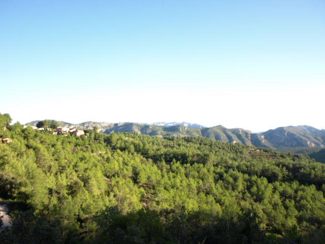 copiadep9193593.jpg