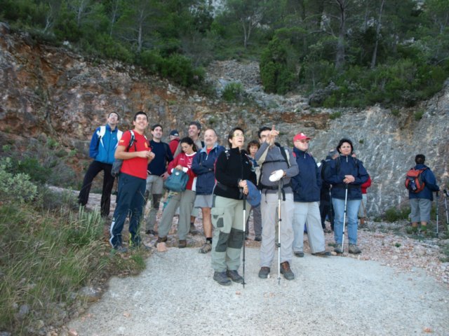 p9193596.jpg
