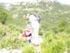p9193612_small.jpg