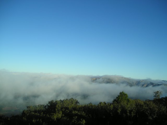 p1010050.jpg