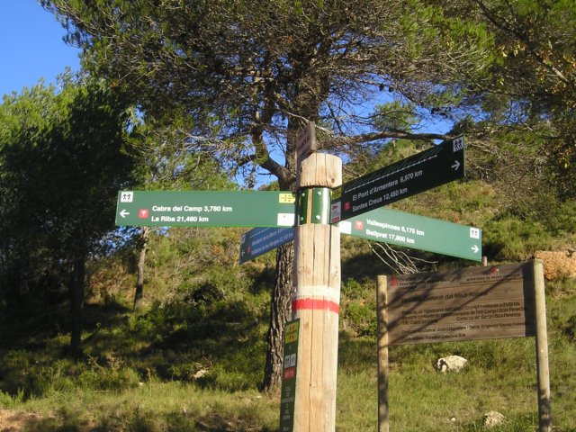 p1010056.jpg