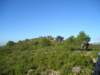 p1010067_small.jpg