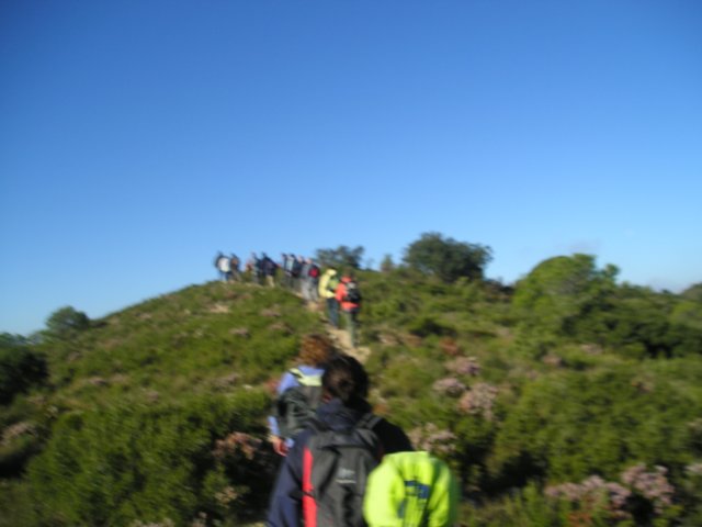 p1010068.jpg