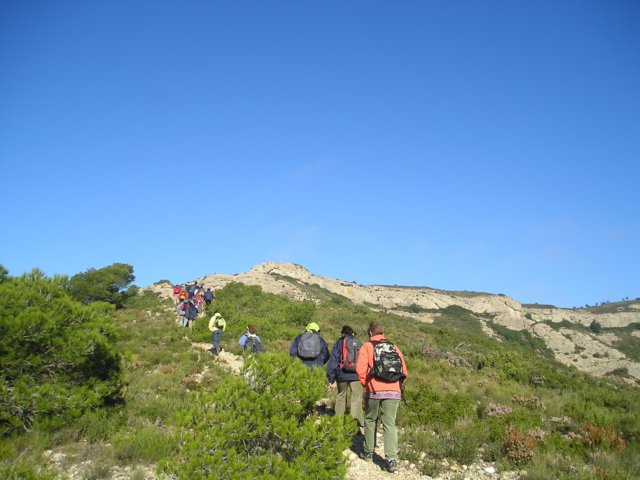 p1010069.jpg