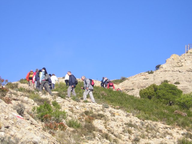 p1010073.jpg